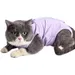 HausPets post-op chat anti-lechage Violet S tour cou 18-22cm