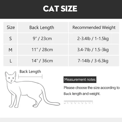 HausPets post-op chat anti-lechage Violet S tour cou 18-22cm HausPets post-op chat anti-lechage Violet S tour cou 18-22cm