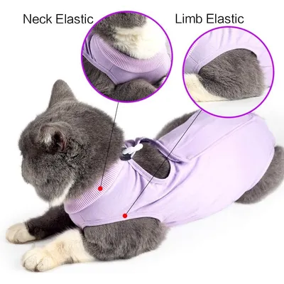HausPets post-op chat anti-lechage Violet S tour cou 18-22cm HausPets post-op chat anti-lechage Violet S tour cou 18-22cm