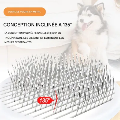HausPets Anti-Flut-Katzenhaarkamm