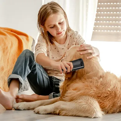 HausPets Brosse Toilettage ABS pour Chien et Chat, Légère Portable