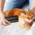 HausPets Brosse Toilettage ABS pour Chien et Chat, Légère Portable