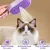 HausPets Brosse Toilettage Vapeur 3 en 1 pour Chat et Chien HausPets Brosse Toilettage Vapeur 3 en 1 pour Chat et Chien