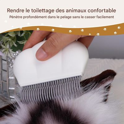 HausPets Peigne en coquille pour animaux de compagnie