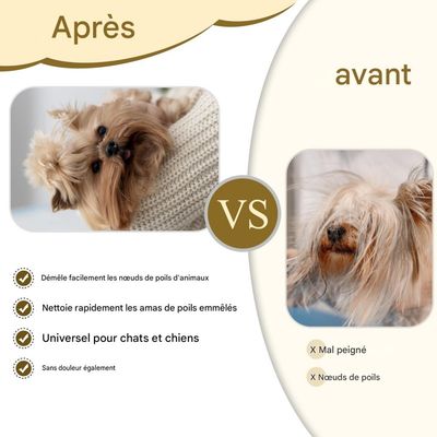 HausPets Peigne en coquille pour animaux de compagnie