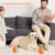 Smarter Spielball – Automatisch – USB-aufladbar Smarter Spielball – Automatisch – USB-aufladbar