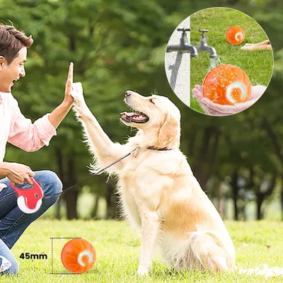 Smarter Spielball – Automatisch – USB-aufladbar Smarter Spielball – Automatisch – USB-aufladbar
