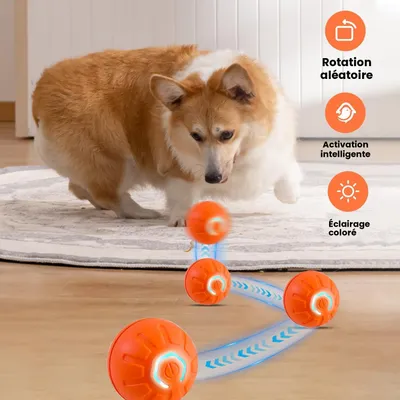 Smarter Spielball – Automatisch – USB-aufladbar Smarter Spielball – Automatisch – USB-aufladbar