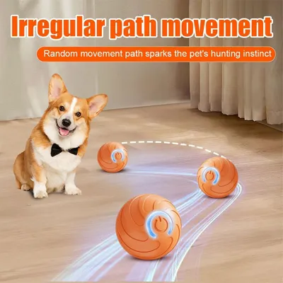 Interaktiver Rollball – Automatisch mit Licht – USB Interaktiver Rollball – Automatisch mit Licht – USB
