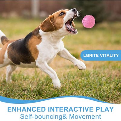 3 balles caoutchouc couineuses – Flottantes – Bleu/rose/jaune