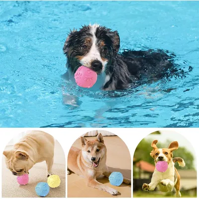 HausPets 3 pelotas de goma que chirrían – Flotantes – Azul/rosa/amarillo HausPets 3 pelotas de goma que chirrían – Flotantes – Azul/rosa/amarillo