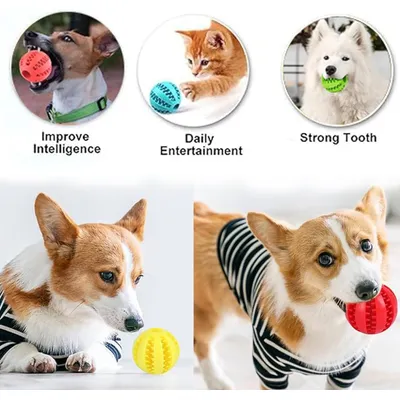 Lot 4 balles chien 5 cm – Soin dentaire – Petit chien