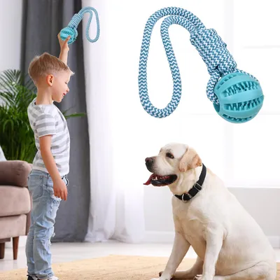 HausPets Pelota de goma con cuerda – Indestructible – Limpieza dental HausPets Pelota de goma con cuerda – Indestructible – Limpieza dental