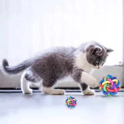 2er-Set geflochtene Gummibälle mit Glöckchen 2er-Set geflochtene Gummibälle mit Glöckchen