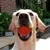 Balle chien indestructible 7 cm rouge, caoutchouc pur, mâcheur