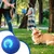 Rolling Ball Dog Toy, ABS, stimulation mentale, petite/grande race