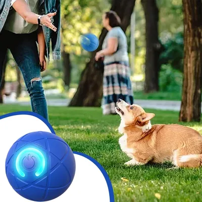 Rolling Ball Dog Toy, ABS, stimulation mentale, petite/grande race