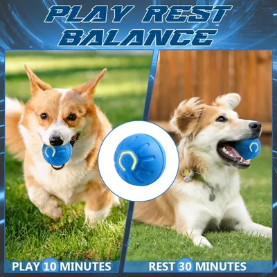 Balle interactive automatique – Roule seule – Rechargeable Balle interactive automatique – Roule seule – Rechargeable
