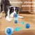 Balle interactive automatique – Roule seule – Rechargeable Balle interactive automatique – Roule seule – Rechargeable