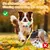 Balle relaxation 13 cm – Jouer et soulager l’ennui Balle relaxation 13 cm – Jouer et soulager l’ennui