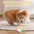 Balle relaxation 13 cm – Jouer et soulager l’ennui Balle relaxation 13 cm – Jouer et soulager l’ennui