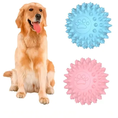 HausPets Noppenball Quietschend Unzerstörbar TPR Hund