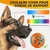 2 balles indestructibles chien – 7 cm – Orange 2 balles indestructibles chien – 7 cm – Orange