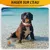 HausPets 2 pelotas indestructibles para perros – 7 cm – Naranja HausPets 2 pelotas indestructibles para perros – 7 cm – Naranja