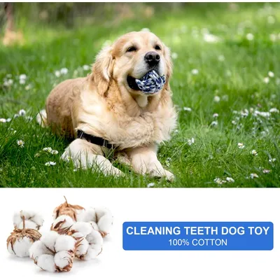 Lot 10 balles corde coton – Nettoie dents – Chiots