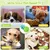 3 distributeurs + balle éducative – Nettoie dents – Toutes races 3 distributeurs + balle éducative – Nettoie dents – Toutes races