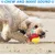 3 distributeurs + balle éducative – Nettoie dents – Toutes races 3 distributeurs + balle éducative – Nettoie dents – Toutes races