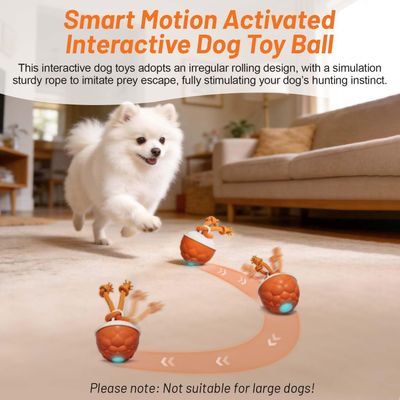 Balle interactive avec corde – 3 modes – Se déplace seule