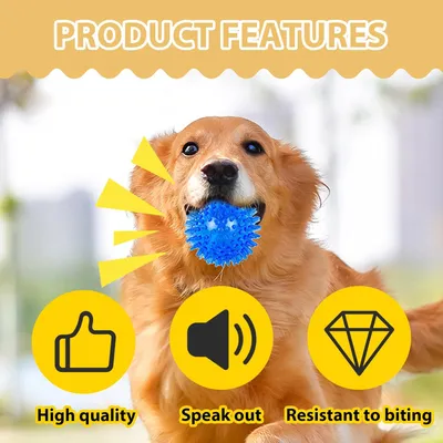 4 balles 6,5 cm, picots – Indestructibles – Nettoie dents 4 balles 6,5 cm, picots – Indestructibles – Nettoie dents