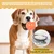 4 balles 6,5 cm, picots – Indestructibles – Nettoie dents 4 balles 6,5 cm, picots – Indestructibles – Nettoie dents