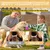4 balles 6,5 cm, picots – Indestructibles – Nettoie dents 4 balles 6,5 cm, picots – Indestructibles – Nettoie dents