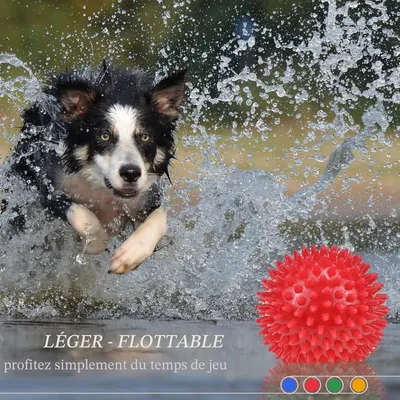 Große 12 cm Quietschbälle – für Hunde mit starkem Kauinstinkt