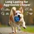 Moonorange Lot de 4 balles jouets pour chiens agressifs Moonorange Lot de 4 balles jouets pour chiens agressifs