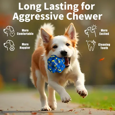 Moonorange Lot de 4 balles jouets pour chiens agressifs Moonorange Lot de 4 balles jouets pour chiens agressifs