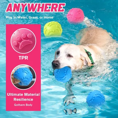 4 balles caoutchouc couineuses – Flottantes – Piscine/plage 4 balles caoutchouc couineuses – Flottantes – Piscine/plage