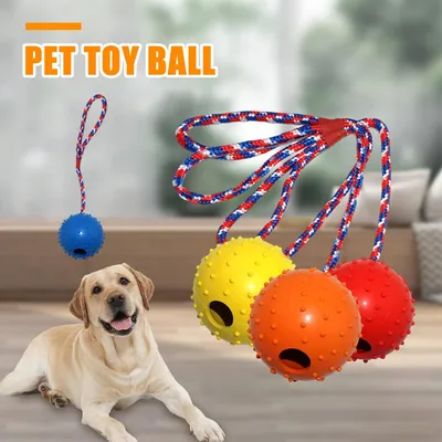 4 balles avec corde – Caoutchouc naturel 5 cm – Tir à la corde