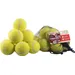 12 Standard-Tennisbälle für Hunde