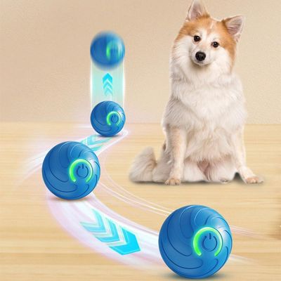 Balle interactive à rouler – Automatique avec lumière – USB