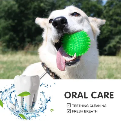 3er-Set Quietschbälle für kleine Hunde – TPR-Gummi