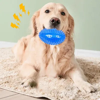 Squeaky Dog Ball, indestructible, hérissé, mâcheur agressif