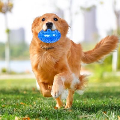 Squeaky Dog Ball, indestructible, hérissé, mâcheur agressif