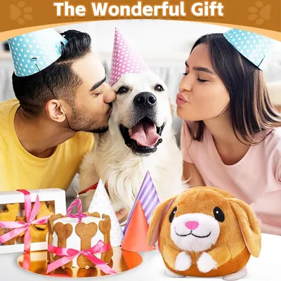 Jouet peluche active 17 cm – Balle rebondissante Jouet peluche active 17 cm – Balle rebondissante
