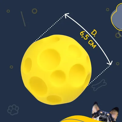 Balle 6,5 cm – Résistante – Jeux actifs – Chiot et petit chien Balle 6,5 cm – Résistante – Jeux actifs – Chiot et petit chien