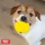 Balle 6,5 cm – Résistante – Jeux actifs – Chiot et petit chien Balle 6,5 cm – Résistante – Jeux actifs – Chiot et petit chien