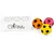 HausPets 3 pelotas chirriantes de 7 cm – Fútbol – Color aleatorio