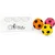 3 balles couineuses 7 cm – Football – Couleur aléatoire 3 balles couineuses 7 cm – Football – Couleur aléatoire